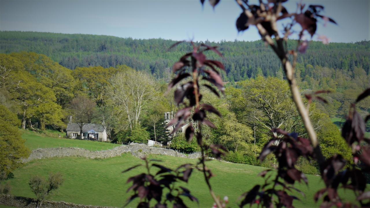 Shepherds Bridge B&B Coniston Eksteriør billede