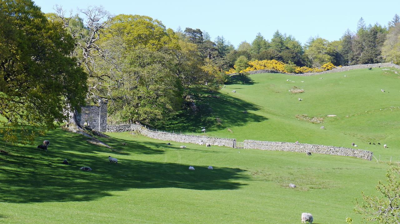 Shepherds Bridge B&B Coniston Eksteriør billede